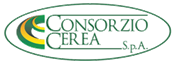 CONSORZIO CEREA